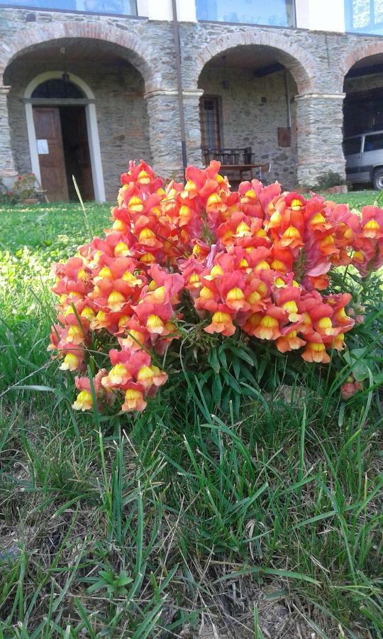Antico Convento Bed & Breakfast Garessio ภายนอก รูปภาพ